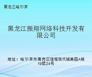 黑龙江振翔网络科技开发 北境网络科技力量的深耕者与推动者